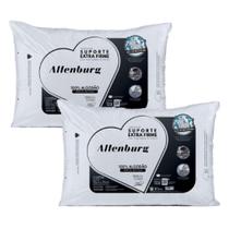 2 Travesseiro Altenburg Suporte Extra Firme Alto