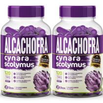 2 un Alcachofra 100 Natural 120 Cáps Forma Suprema