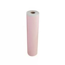 2 un papel para ecg termossensível bionet 216x30m