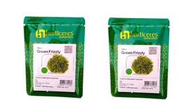2 Unid. Alface Crespa Green Frizzly 1000 Sem Horticeres Cíclo Rápido 55 Dias
