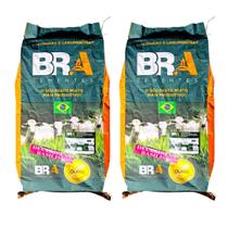 2 Unid Brachiaria Decumbens 10kg Incrustada Bra Resistênte à Pragas E Doenças