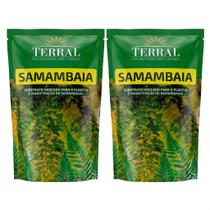 2 Unidades Substrato Samambaia 3l - Terral 2 Unidades Substrato Samambaia 3l - Terral