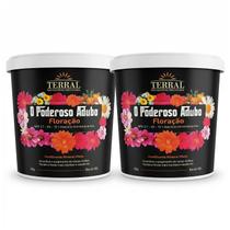 2 Unidades Terral O Poderoso Floração 90g 2 Unidades Terral O Poderoso Floração 90g