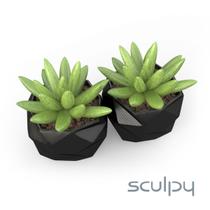 2 Vasos Cachepot Suculenta Ervas Flor Decora Mesh Mini Pp58 2 Vasos Cachepot Suculenta Ervas Flor Decora Mesh Mini Pp58