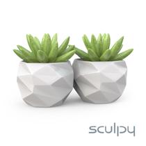 2 Vasos Cachepot Suculenta Ervas Flor Decora Mesh Mini Pp58