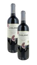 2 Vinho Tinto Chilano Malbec Collection Garrafa Vidro 750ml