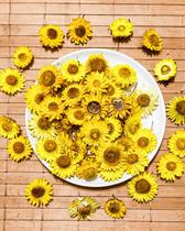 20 Flor Sempre Viva Inteira xerochrysum Bracteatum Amarela Decoração, Chá, Velas, Banhos Nomady