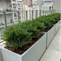 20 Folhas de Samambaia Artificial 35cm para Arranjos Florais, Painel Vegetal e Vasos 20 Folhas de Samambaia Artificial 35cm para Arranjos Florais, Painel Vegetal e Vasos
