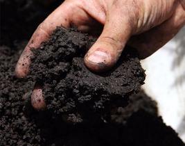 20 Kilos Humus de Minhoca