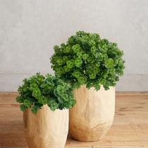 20 maços (120 hastes) mini eucalipto planta artificial preço atacado para jardins parede verde - DE2823 20 maços (120 hastes) mini eucalipto planta artificial preço atacado para jardins parede verde - DE2823