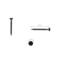 20 Parafuso Preto Cabeça Chata Phillips 4,0x30 mm