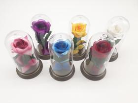 20 Redomas Cúpulas A Rosa Encantada A Bela e A Fera Pequenas 11 cm