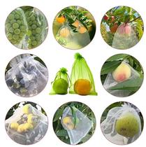20 Sacos De Proteção Fruta Mamão contra pássaro insetos e Pragas (20x35) 20 Sacos De Proteção Fruta Mamão contra pássaro insetos e Pragas (20x35)