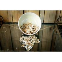 20 Sementes de Ipê Amarelo 20 Sementes de Ipê Amarelo