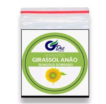 20 Sementes Girassol Anão Sungold Dobrado 20 Sementes Girassol Anão Sungold Dobrado
