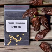 20 Sementes Spitfire A Pimenta Cospe Fogo Do Fabio Tuma