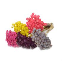 200 Botão Dourado Desidratado para Decoração