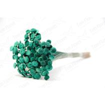 200 Botão Verde Desidratado Sempre Viva Flores Secas