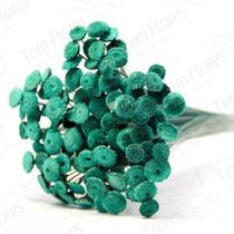 200 Botões Desidratado Secas