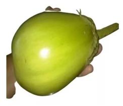 200 Sementes Do Jiló Jaíba Gigante