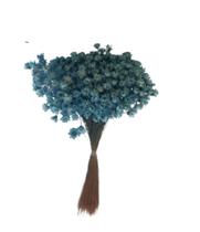 200 Sempre Vivas Decoração Casamento Lembrança Azul Claro 200 Sempre Vivas Decoração Casamento Lembrança Azul Claro