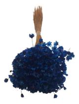 200 Sempre Vivas Decoração Casamento Lembrança Azul Escuro 200 Sempre Vivas Decoração Casamento Lembrança Azul Escuro