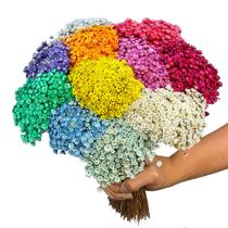 2000 Flores Sempre Vivas COLORIDAS para casamentos e decoração