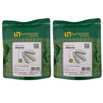 2000 Sementes de Abobrinha Híbrida Atlanta Alta Produtividade Profissional Horticeres 2000 Sementes de Abobrinha Híbrida Atlanta Alta Produtividade Profissional Horticeres