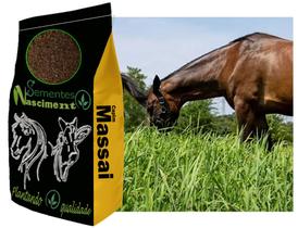 20kg Sementes Capim massai para formar excelente pastagem resistente