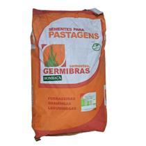 20kg Sementes de Capim Mombaça Panicum Maximum CV35 - Alta Produção para Pastagem 20kg Sementes de Capim Mombaça Panicum Maximum CV35 - Alta Produção para Pastagem