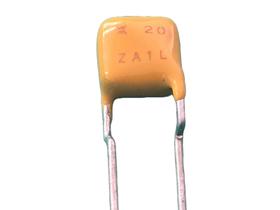 20x Fusivel Resetavel Ptc 120ma 250v - Tr250-120-X