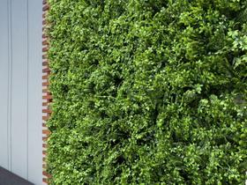22 Placas de Folhagens Artificiais para Jardins Verticais Painel Decorativo 3D Verde Realista