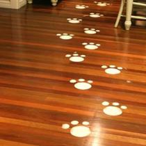 24 Pegadas Coelho Coelhinho Páscoa Brincadeira Caça Aos Ovos - WINCY 24 Pegadas Coelho Coelhinho Páscoa Brincadeira Caça Aos Ovos - WINCY