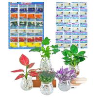 24 Saquinho Bolinha Gel Cresce Na Agua Planta Brinquedos 24 Saquinho Bolinha Gel Cresce Na Agua Planta Brinquedos