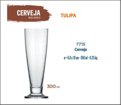 24 Taça Cerveja Tulipa 300ml-artesanal-pilsen-premium-ipa - Nadir Figueiredo