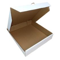 25 Caixas De Papelão 30x29x6 Branco Envios Salgados Montável