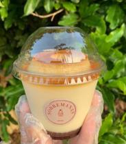 25 Copos Bolha PET 270 ml