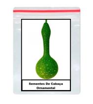 25 Sementes De Cabaça Ornamental