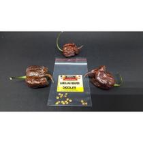 25 Sementes Verdadeiras Carolina Reaper Chocolate