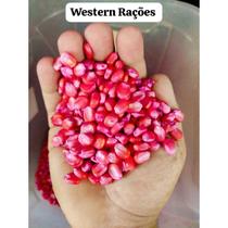 250 Sementes Milho (125gr) Pamonha - Milho Espiga Grande