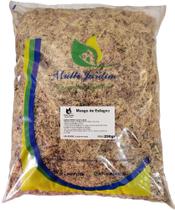 250gr 10 Litros Musgo De Esfagno Substrato Orgânico Orquídeas