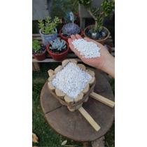 2,5Kg Pedrinha Branca Pedrisco Granilha para Vasos, Jardim e Decoração - Mogifertil
