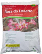 2kg Substrato para Rosa do Deserto Vida Verde Garden