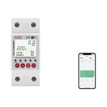 2P 230V Tuya WiFi Disjuntor Inteligente Com Vazamento De Terra Sob Protetor De Tensão Medidor De
