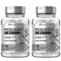 2Un Picolinato de Cromo Puro 500Mg 120Cáps (1 Ao Dia) Ecomev