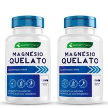 2Uni Magnesio Quelato 500mg Puro 100% Absorção 240 Cápsulas 2Uni Magnesio Quelato 500mg Puro 100% Absorção 240 Cápsulas