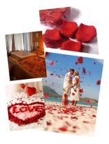 2X 1.000 Pétalas De Rosas Artificiais Vermelha Casamento Noi 2X 1.000 Pétalas De Rosas Artificiais Vermelha Casamento Noi