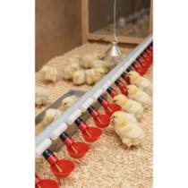 2x 10 Bebedouros Automáticos Aves Codornas + Conexões T Verm