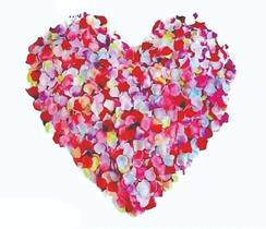 2X 1000 Pétalas De Rosas Artificiais Decoração Casamento Fes