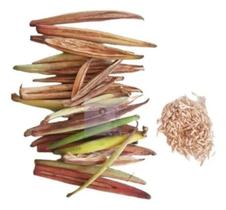 2X 15 Sementes Rosa Deserto Dobradas Simples Tripla Mix Fres 2X 15 Sementes Rosa Deserto Dobradas Simples Tripla Mix Fres